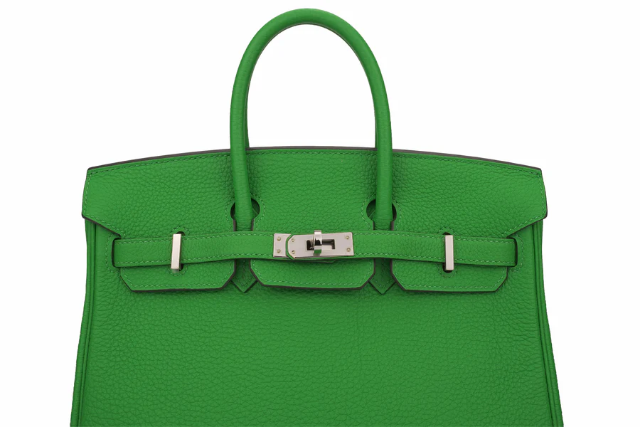 Hermès Birkin 25 Togo Bamboo Verso/Caramel PHW - Image 6
