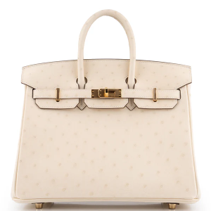 Hermès Birkin 25 Ostrich Nata GHW