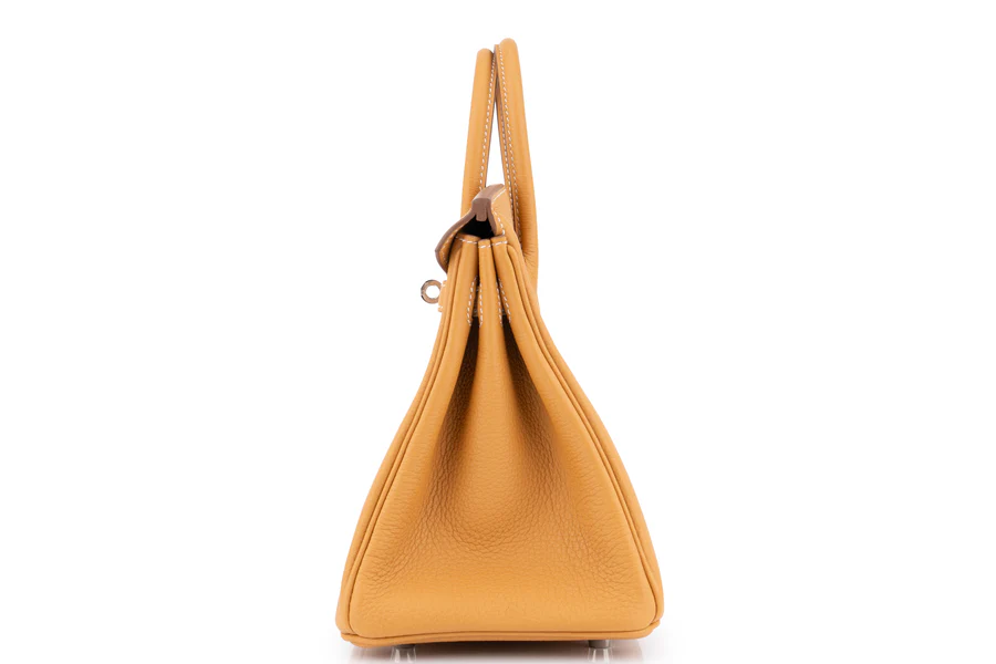 Hermès Birkin 25 Togo Naturel Sable PHW - Image 3