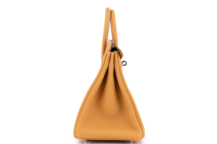 Hermès Birkin 25 Togo Naturel Sable PHW - Image 5