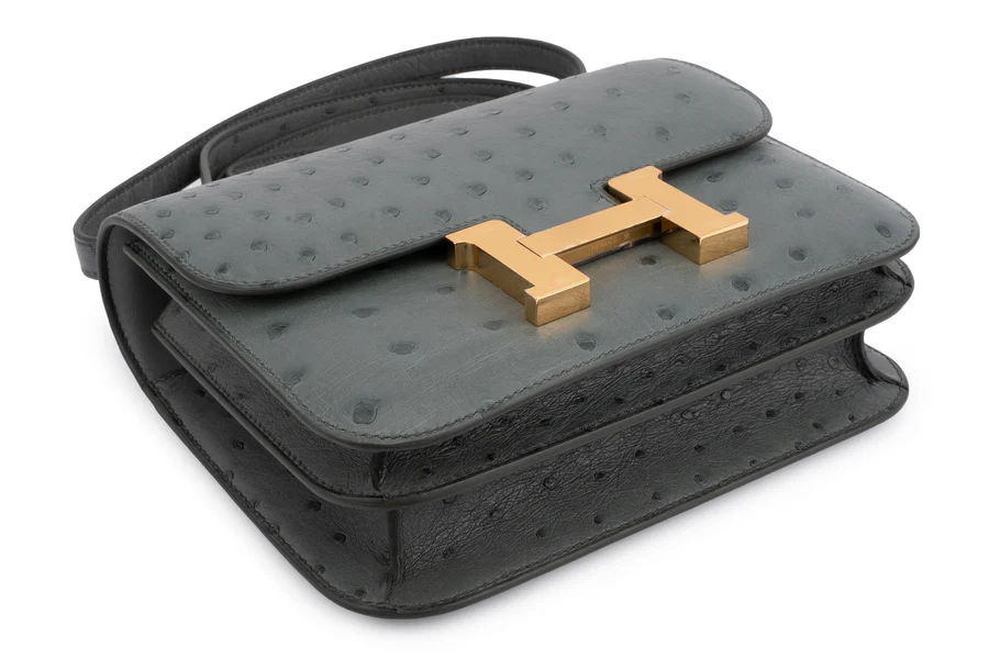 Hermès Constance 18 Exotic Ostrich Vert Amande GHW - Image 8