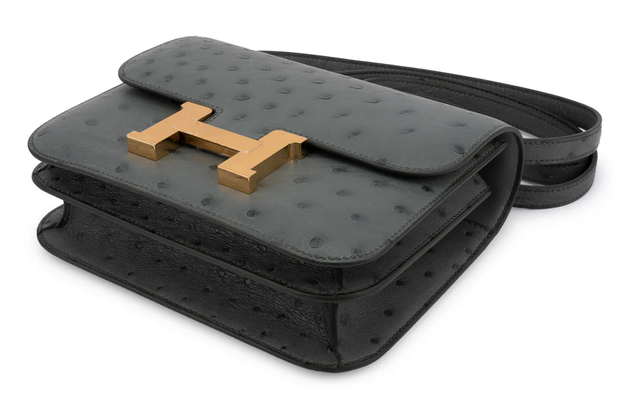 Hermès Constance 18 Exotic Ostrich Vert Amande GHW - Image 9